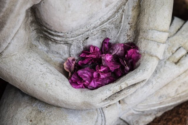 Buddha Flower Petals